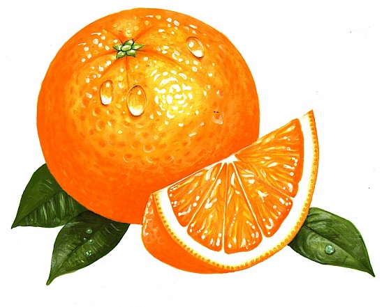 Orange Beauty - Foodillustrationen
