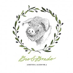 Logo Bio&Brado