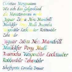 Farbige Kalligrafie eines Gedichtes