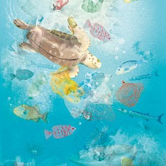 Müll im Meer, bedrohte Lebensräume