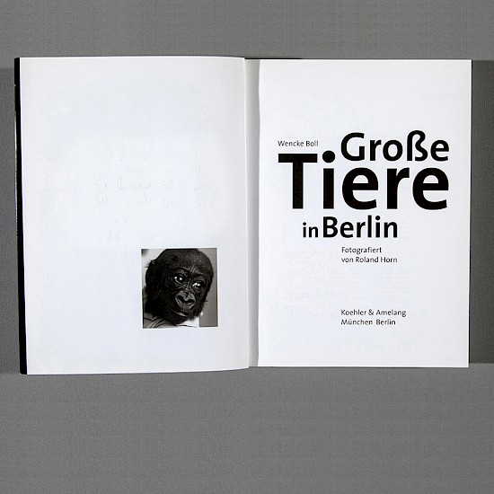 »Große Tiere in Berlin«, Buchgestaltung, Haupttitel