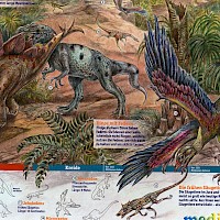 Allosaurus und Microraptor