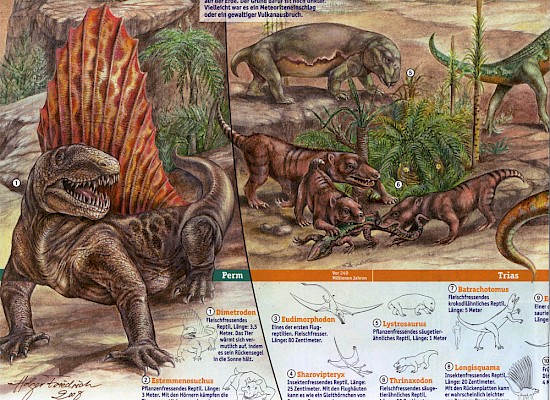 Dimetrodon, Lystrosaurus, Thrinaxodon