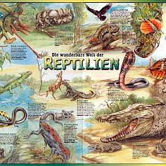 Reptilien