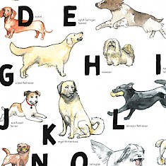 Poster Hunde ABC