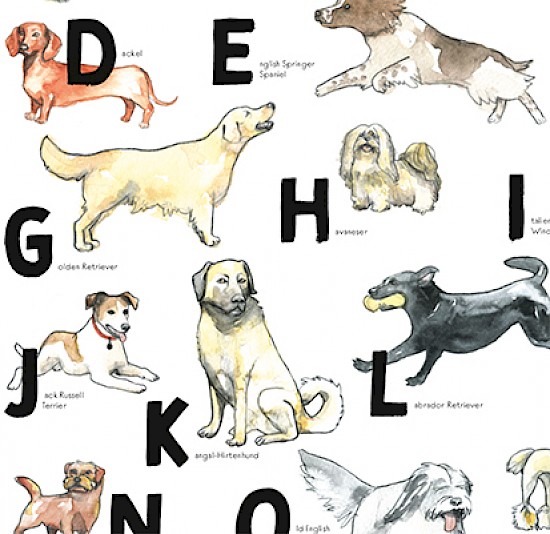 Poster Hunde ABC