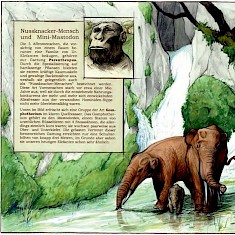 Nussknacker-Mensch und Mini-Mastodon