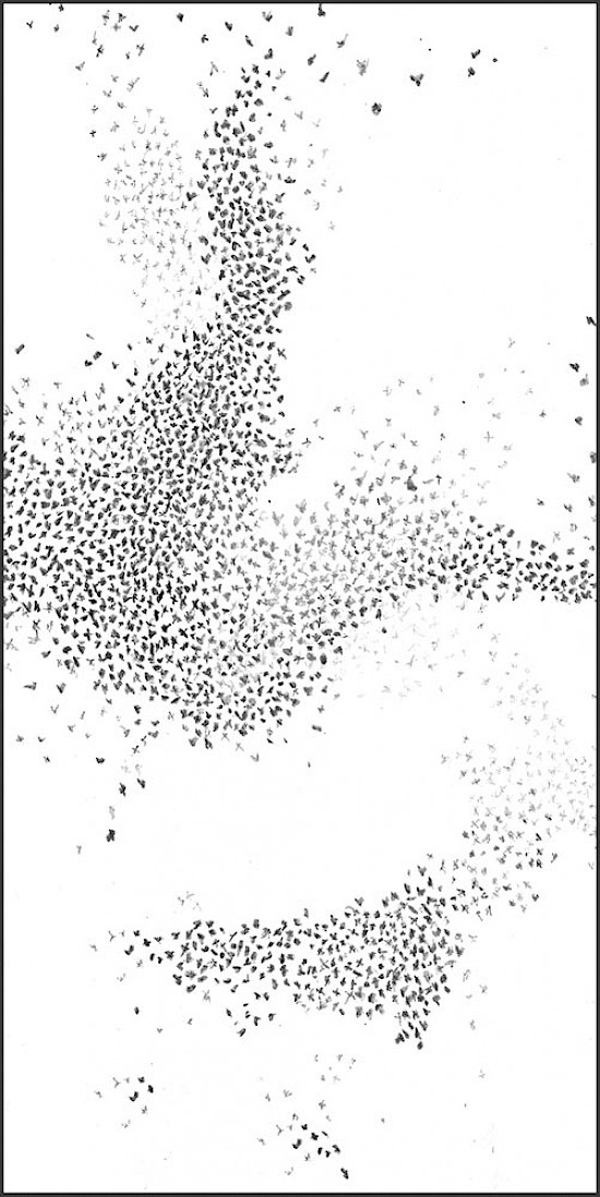 Kondolenzkarte No.6(Vogelschwarm)